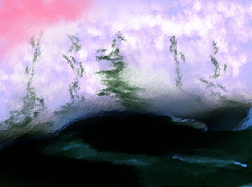 Pine-Trees.jpg