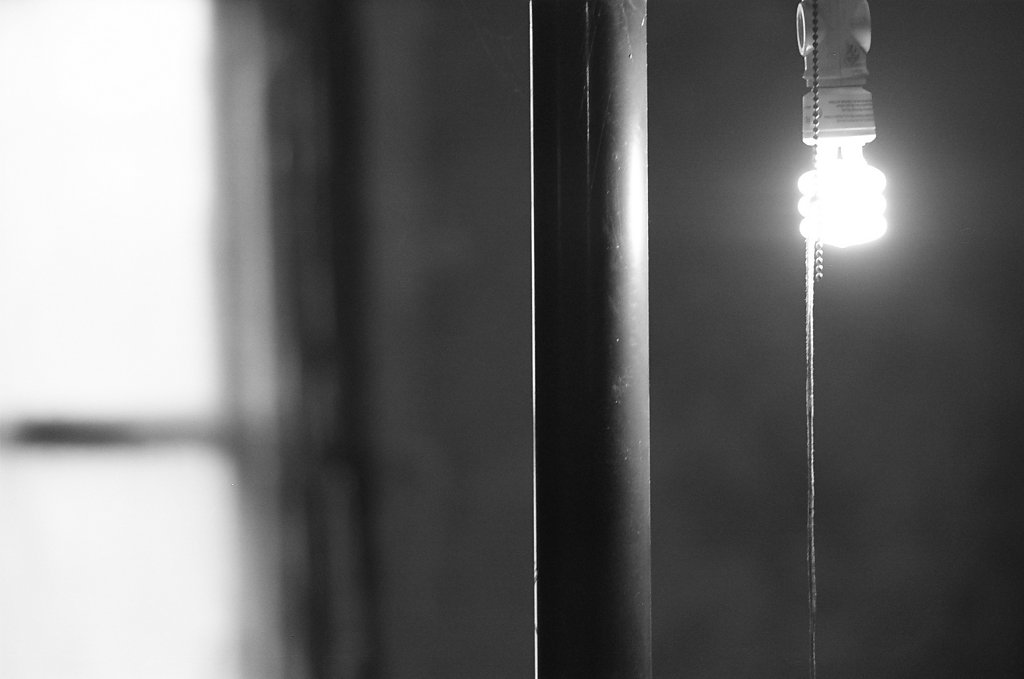 73550020.jpg