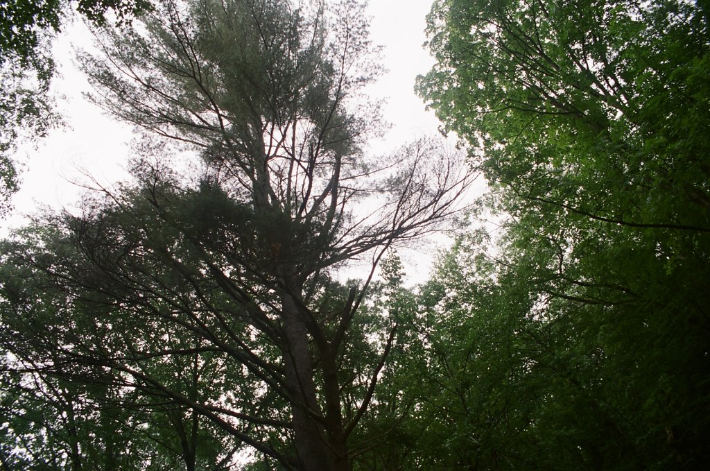 202062620036-35.jpg