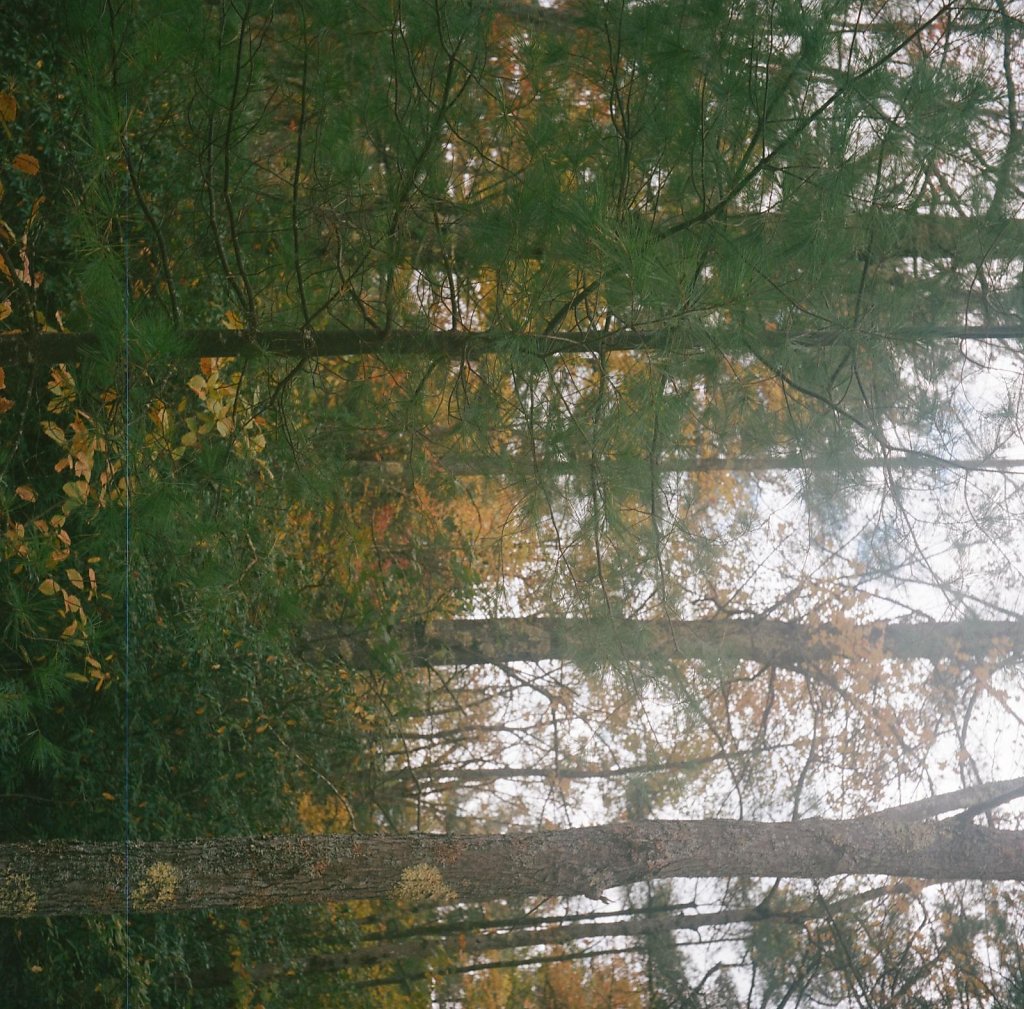 465358000003.jpg